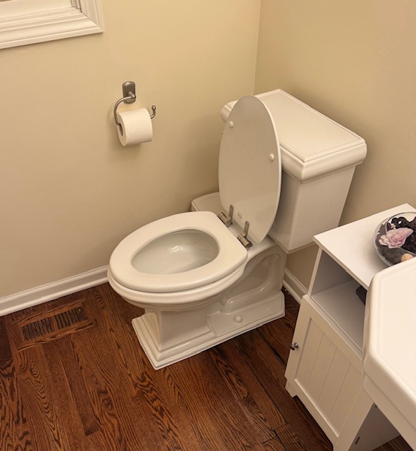 Leaking Toilet Repair in Burr Ridge, IL